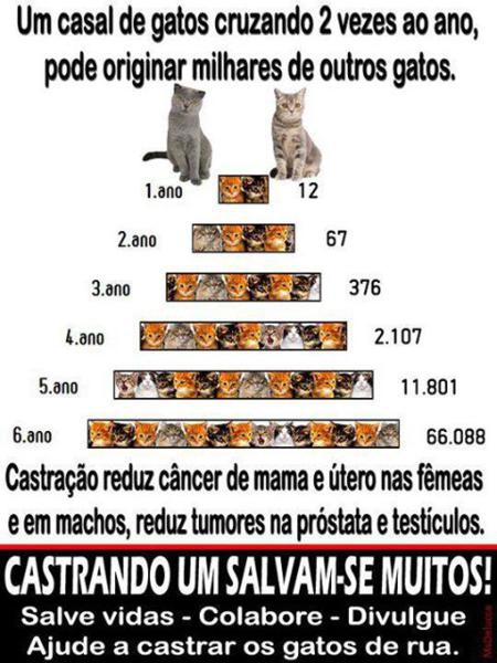 Castração: um ato de amor!